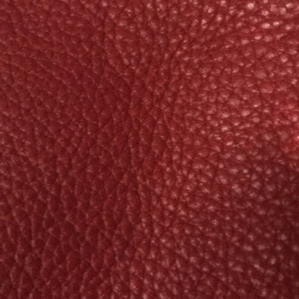 Carpaccioli Red Leather bucket bag